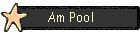 Am Pool