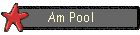 Am Pool