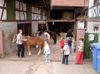 ... auf welchem Pony darf ich denn reiten!?